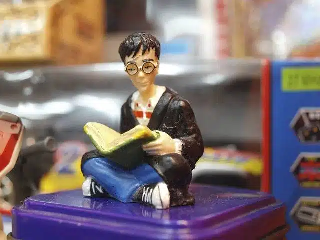 Harry Potter