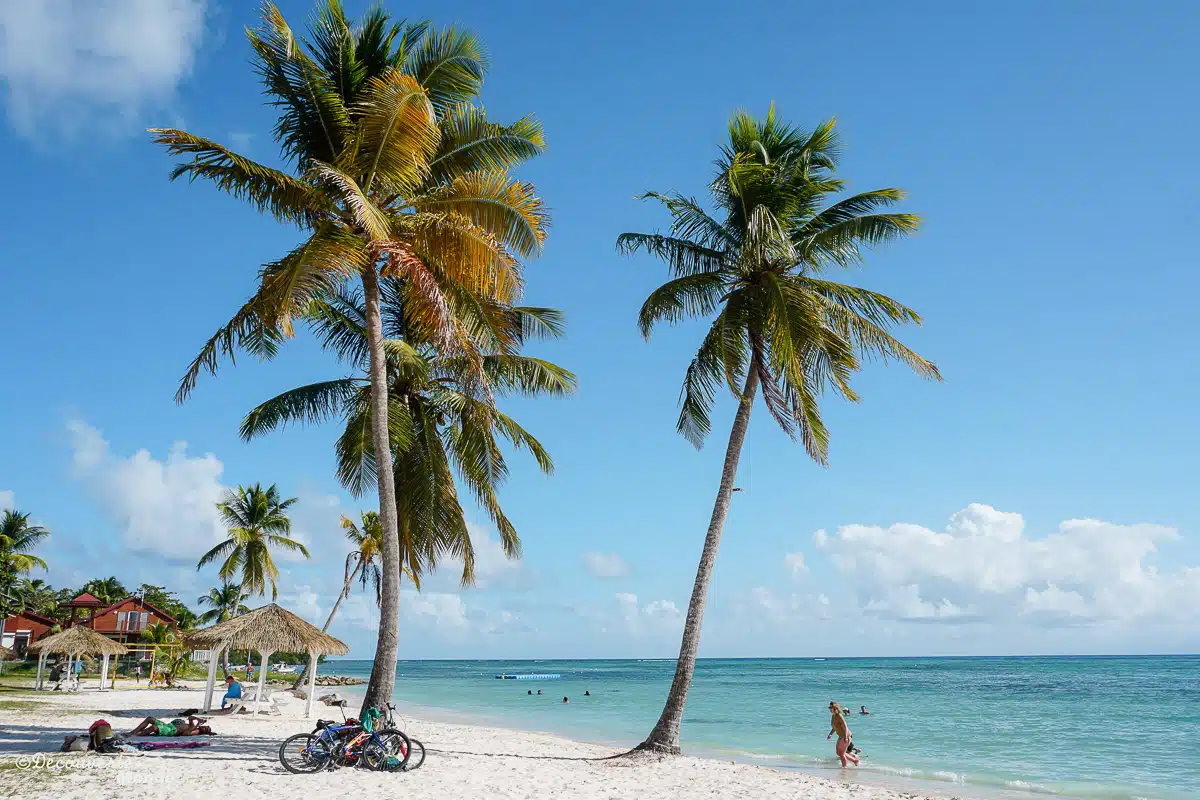 Les saisons en Guadeloupe tout ce qu'il faut savoir